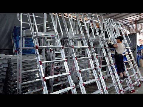 Ladder industry insight