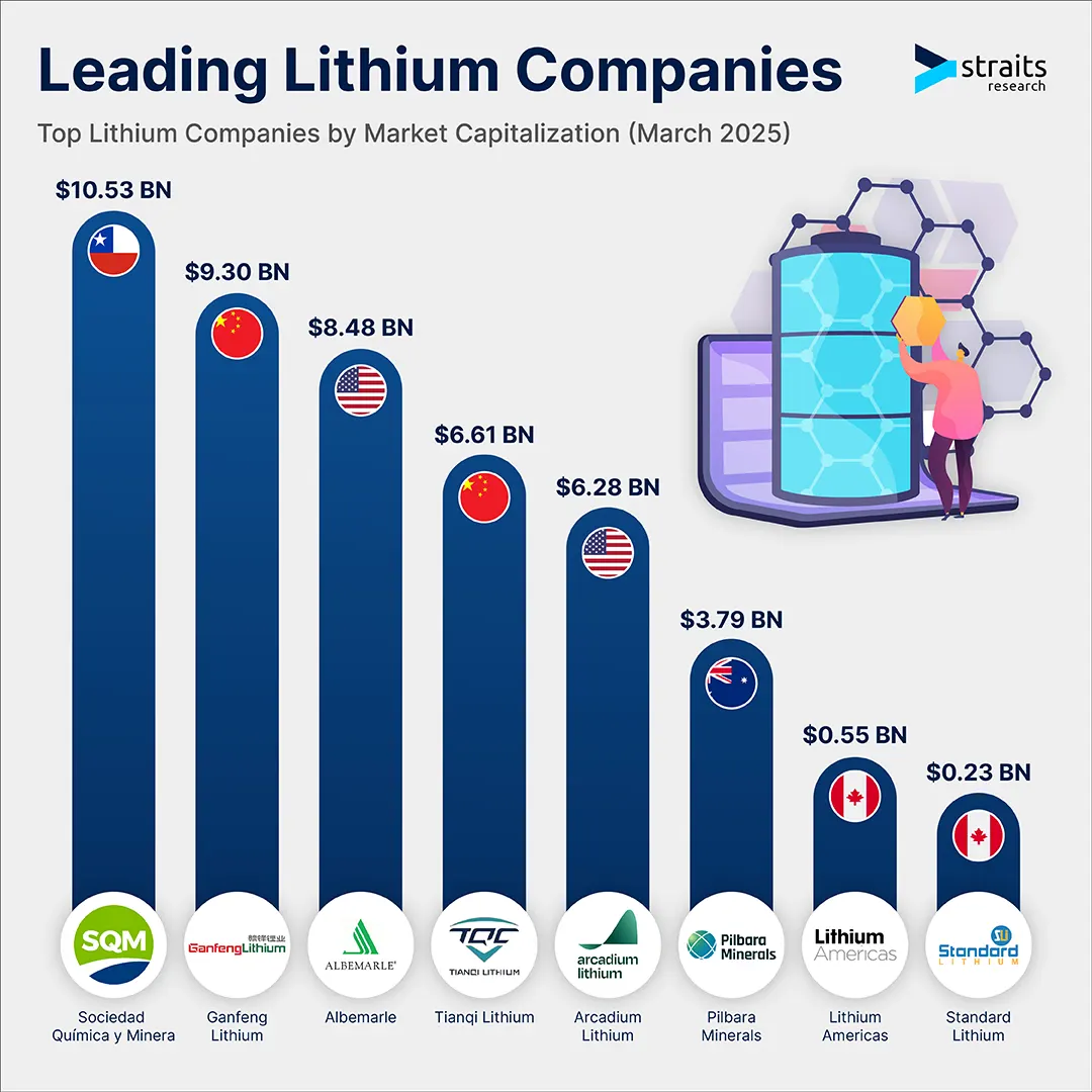 Largest Of Lithium industry insight