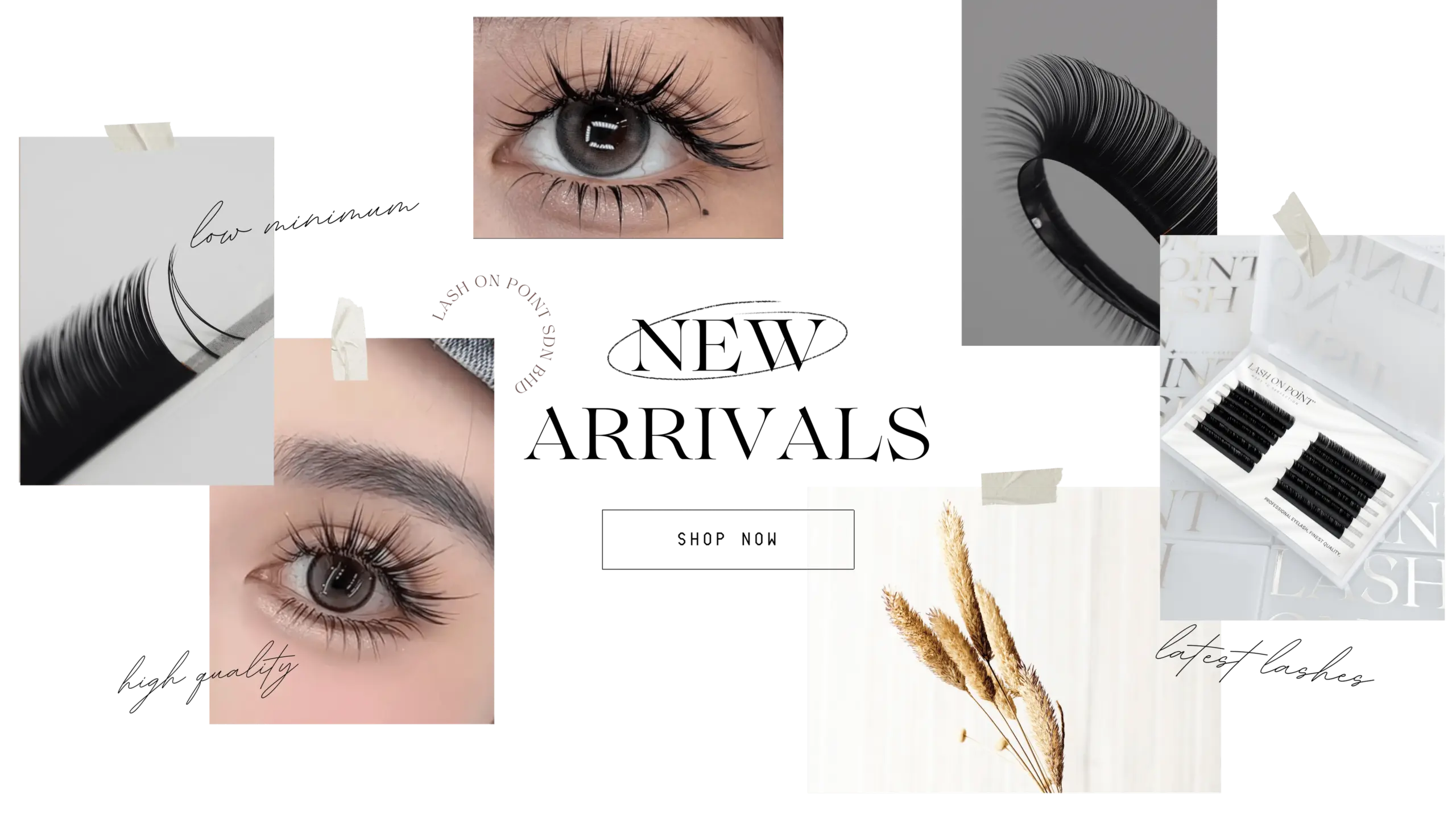 Lash On Point