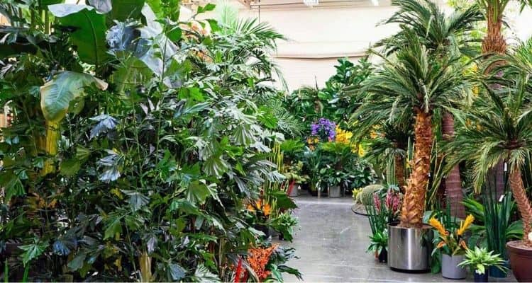 Leading China Artificial Plants Factory, Manufacturer & Supplier