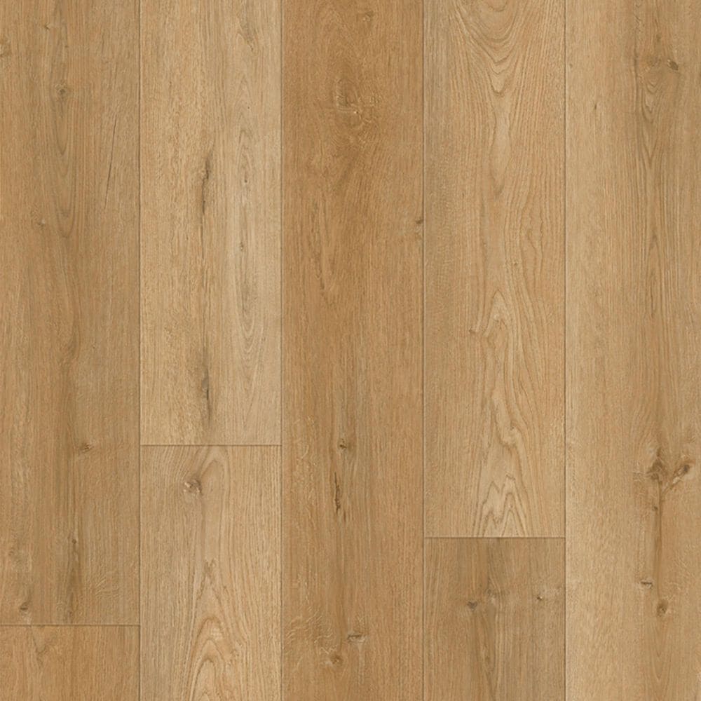 Lions Floor