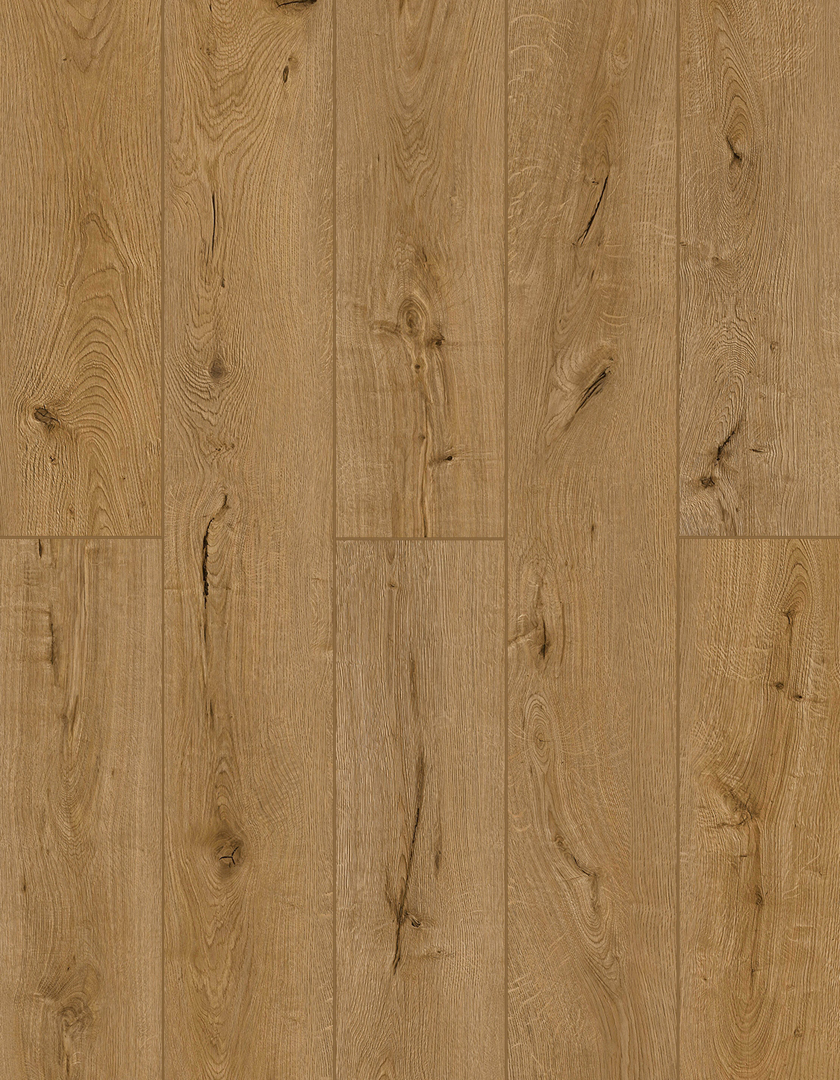 Lions Floor