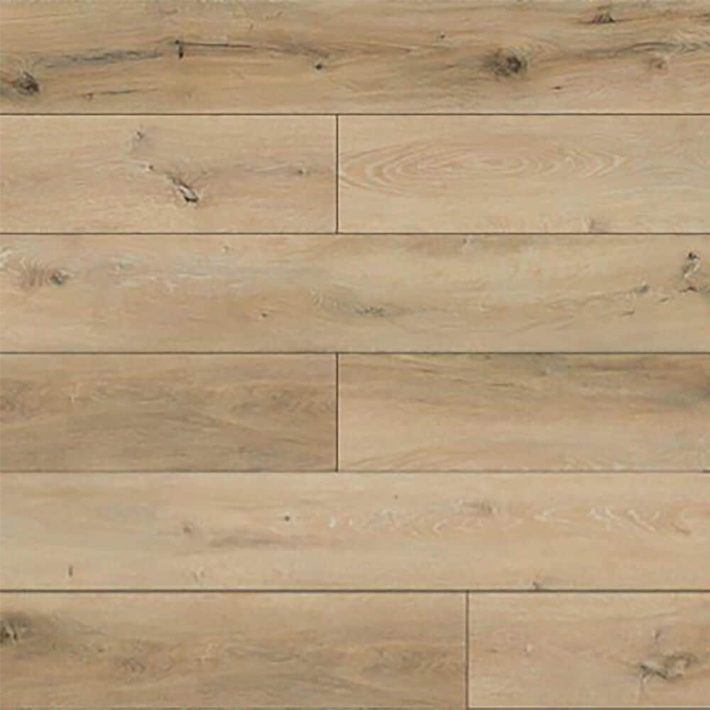 Lions Floor