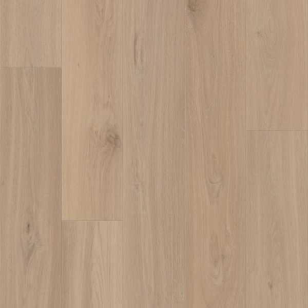 Lions Floor