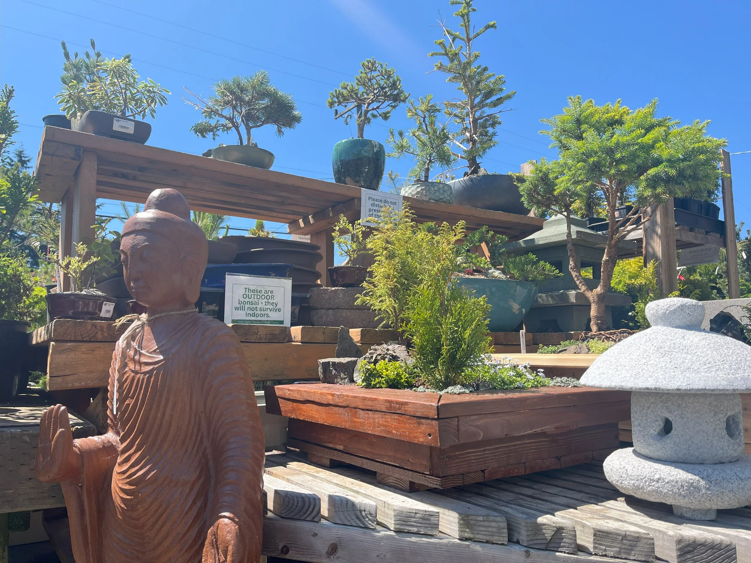 Local Bonsai Resources
