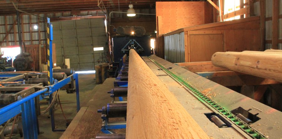 Log Home industry insight