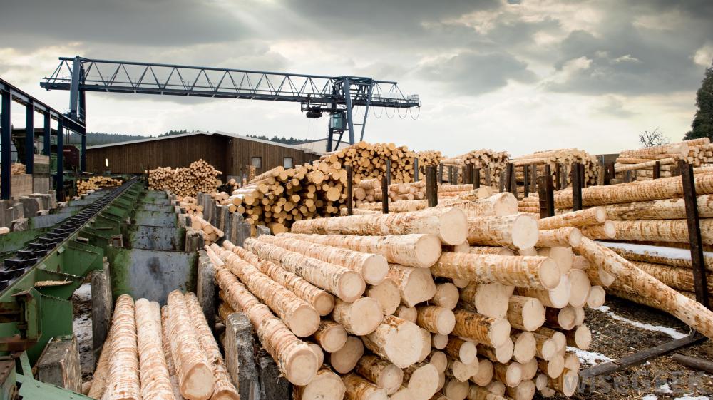 Lumber industry insight