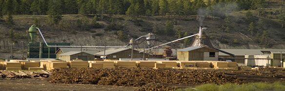 Lumber industry insight