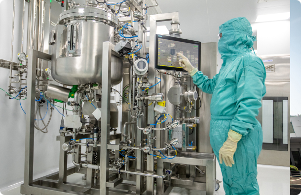 Lupin industry insight