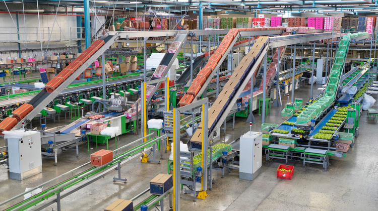 Refurbished industry insight
