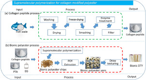 Marine Collagen industry insight