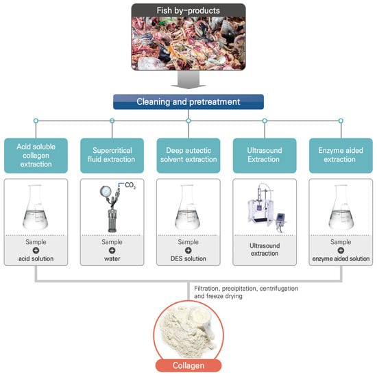 Marine Collagen industry insight
