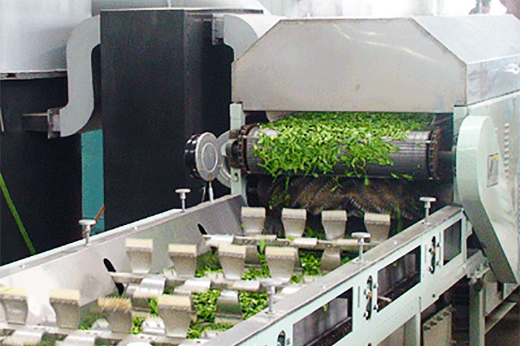 Matcha Green Tea industry insight