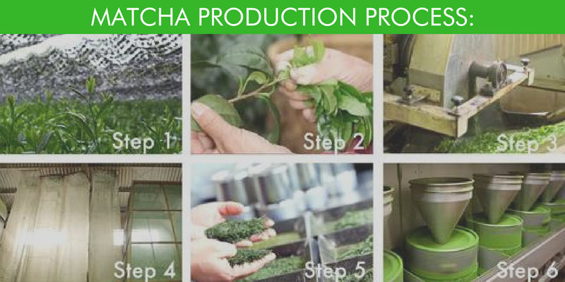 Matcha industry insight