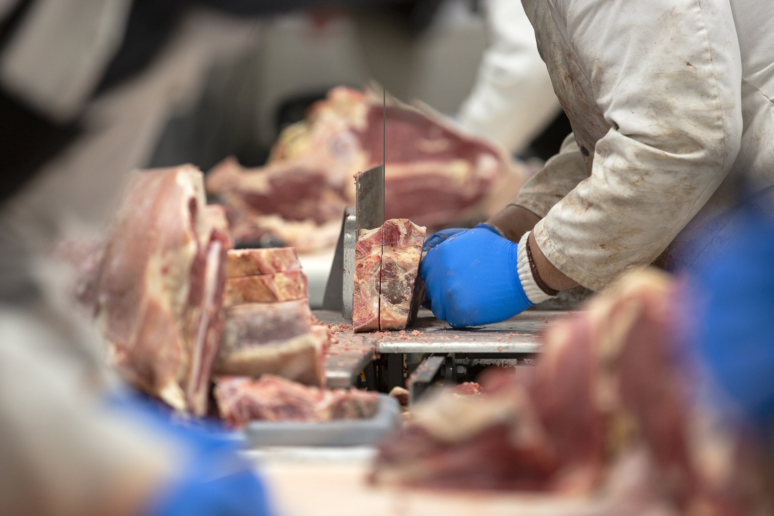 Meat industry insight