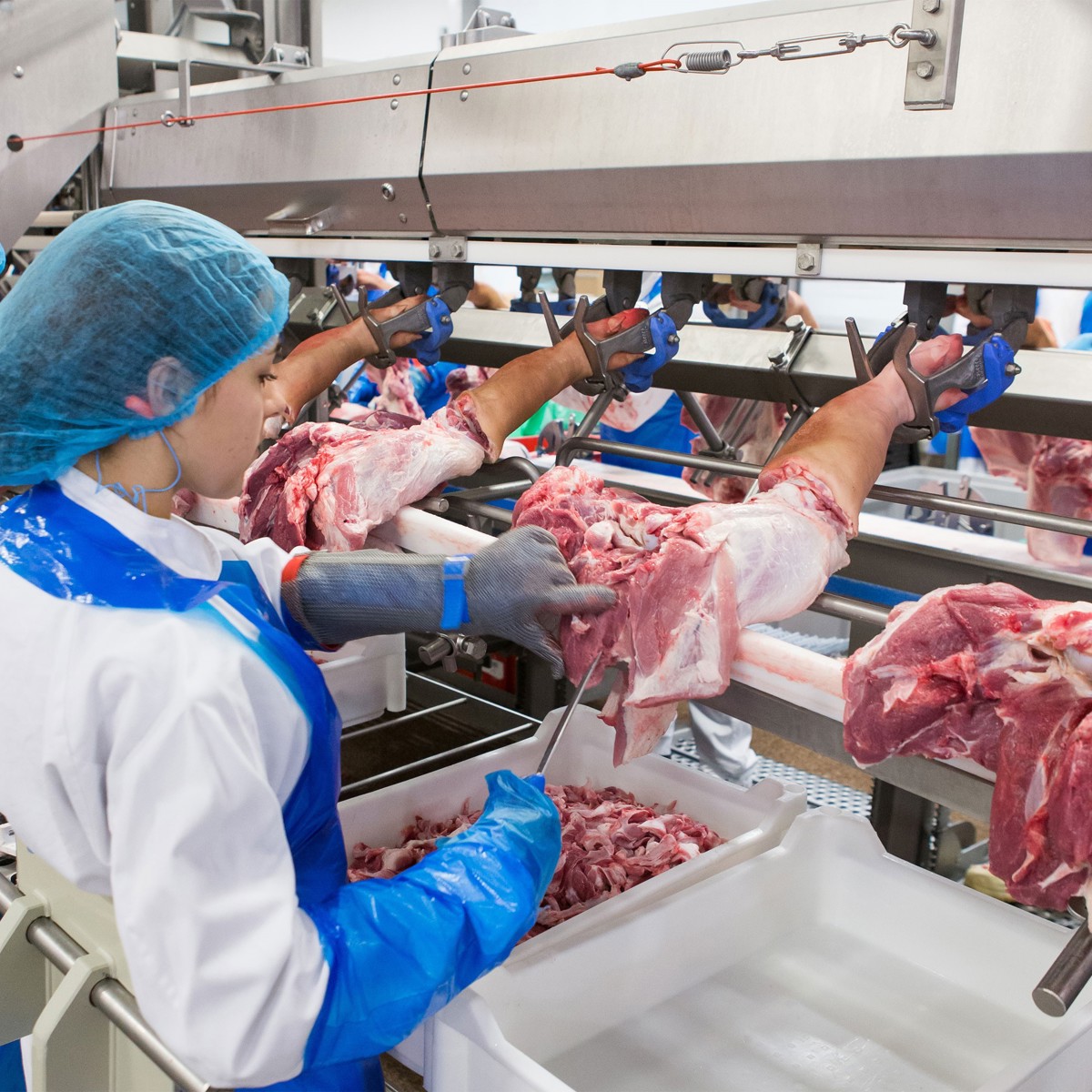 Meat industry insight