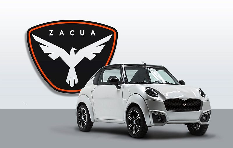 Mexican electric car