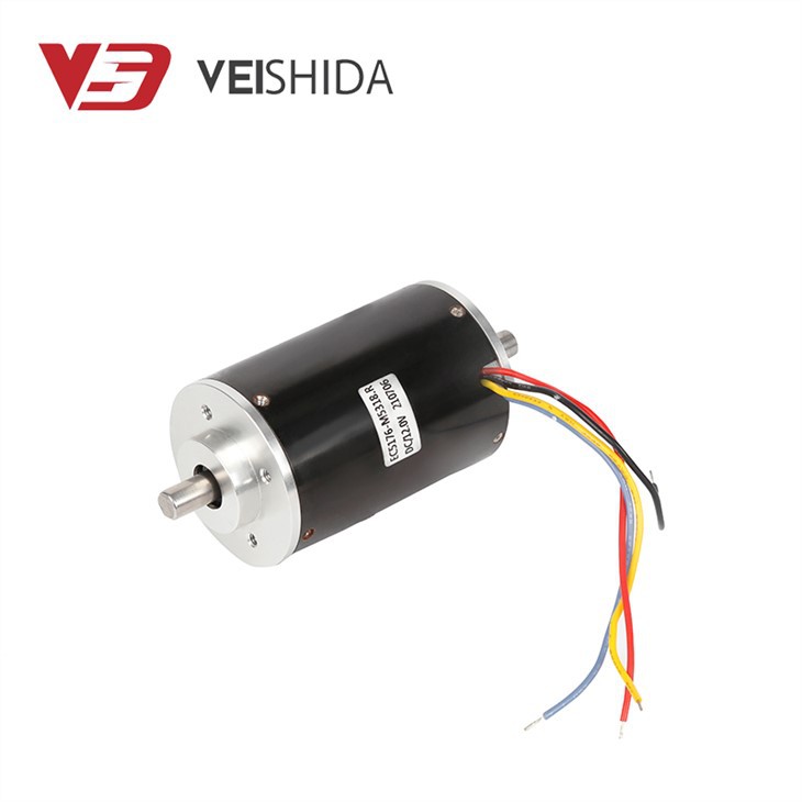 Micro Motors