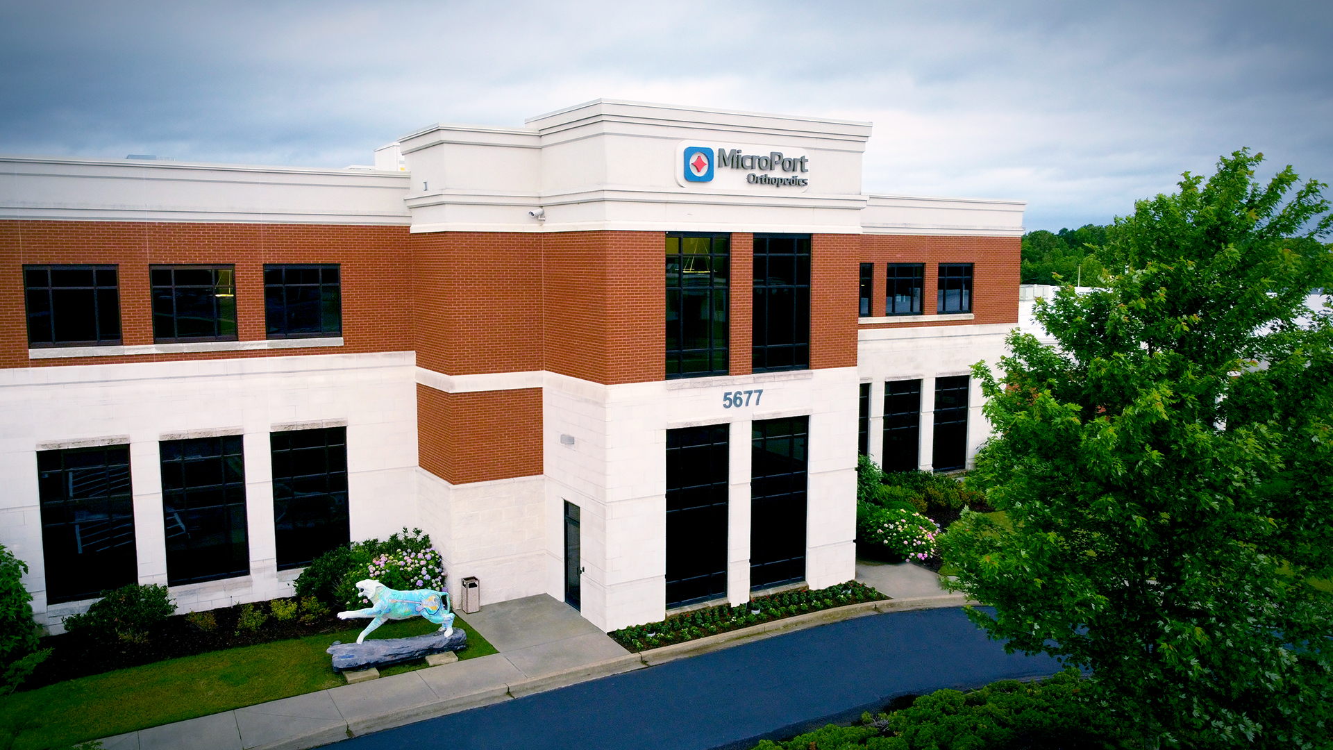 MicroPort Orthopedics