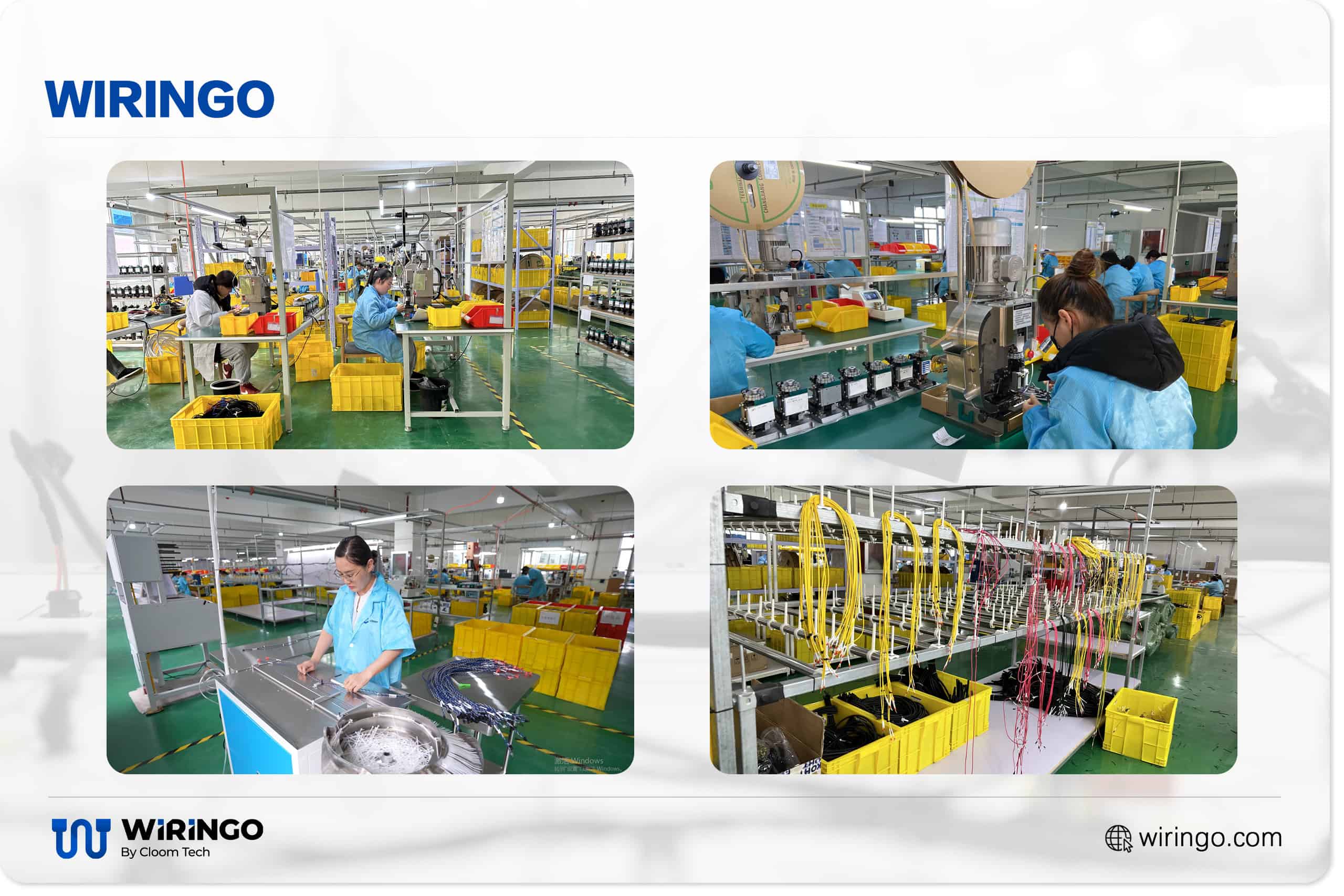 Military Cable Assembly industry insight