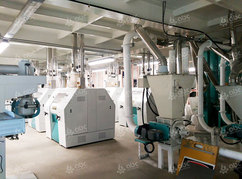 Mill industry insight