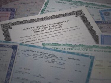 Motor Vehicle