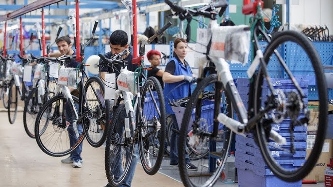 Mountain Bike industry insight