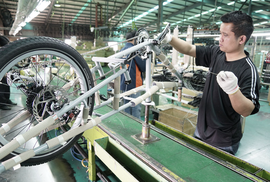 Mountain Bike industry insight