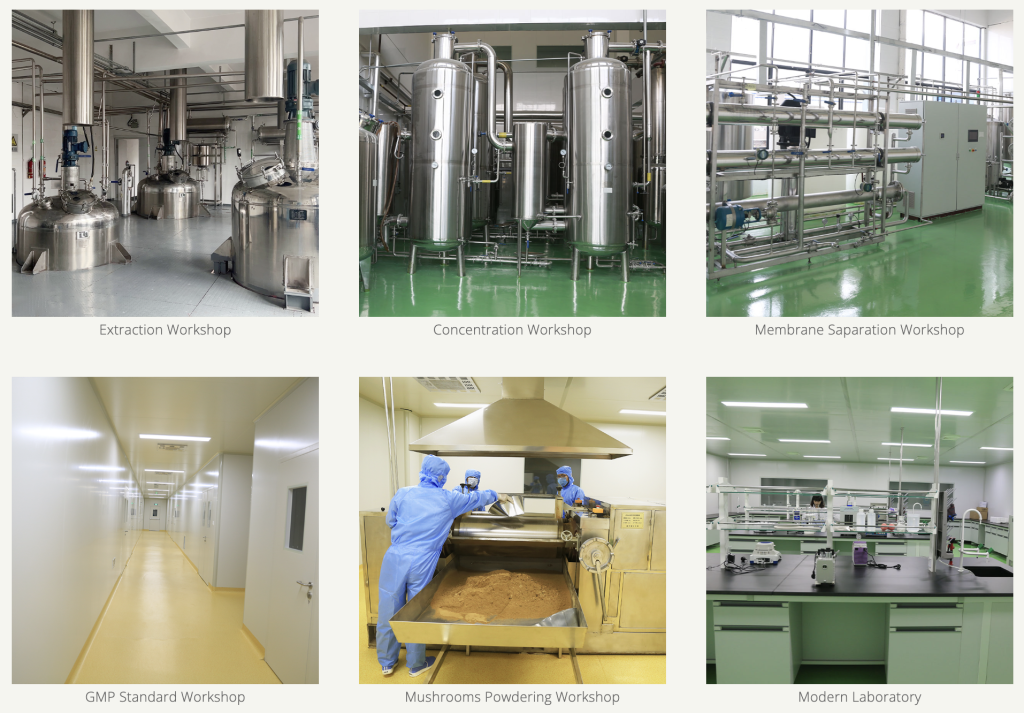 Mushroom Powder industry insight