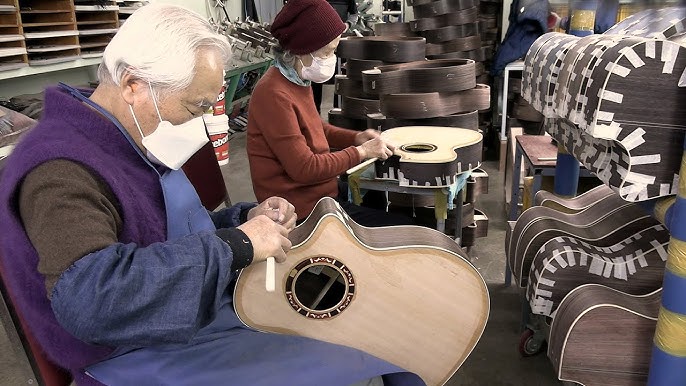 Musical Equipment industry insight