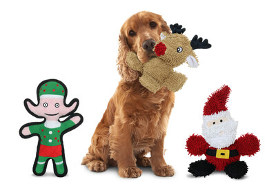 mydogtoy.com