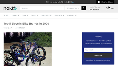 Top 5 Electric Bike Brands in 2024 - Nakto