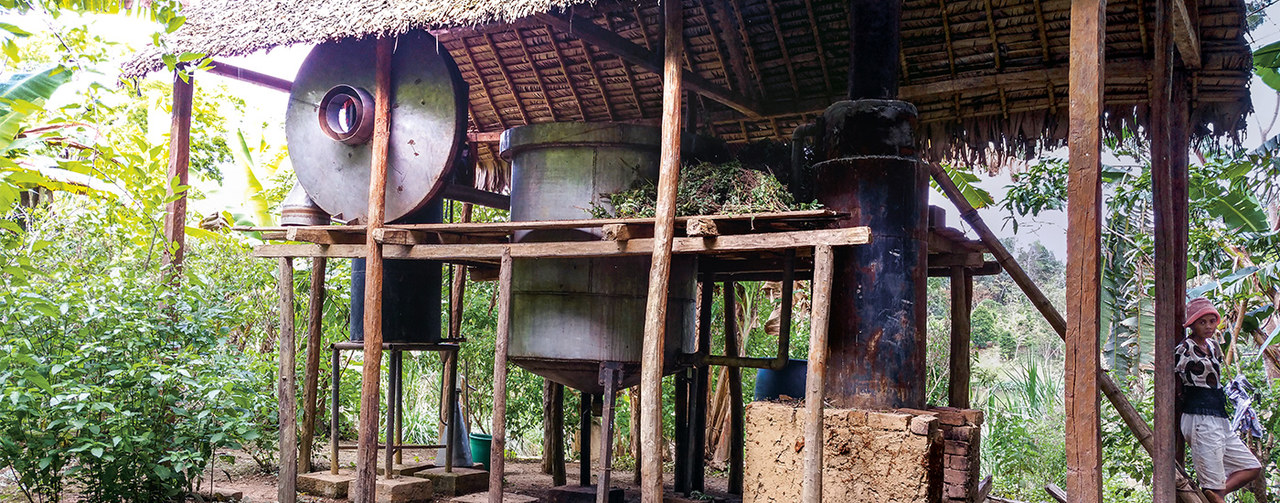 Natural Raw Materials, Fragrances, and Flavors