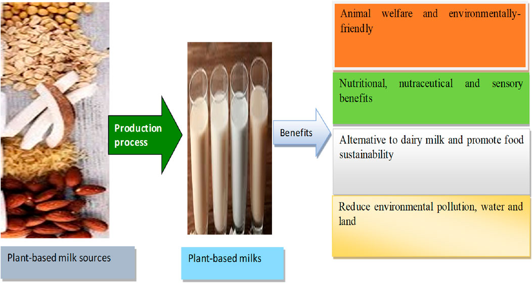 Nutraceutical Ingredient Manufacturer & Raw Material Supplier