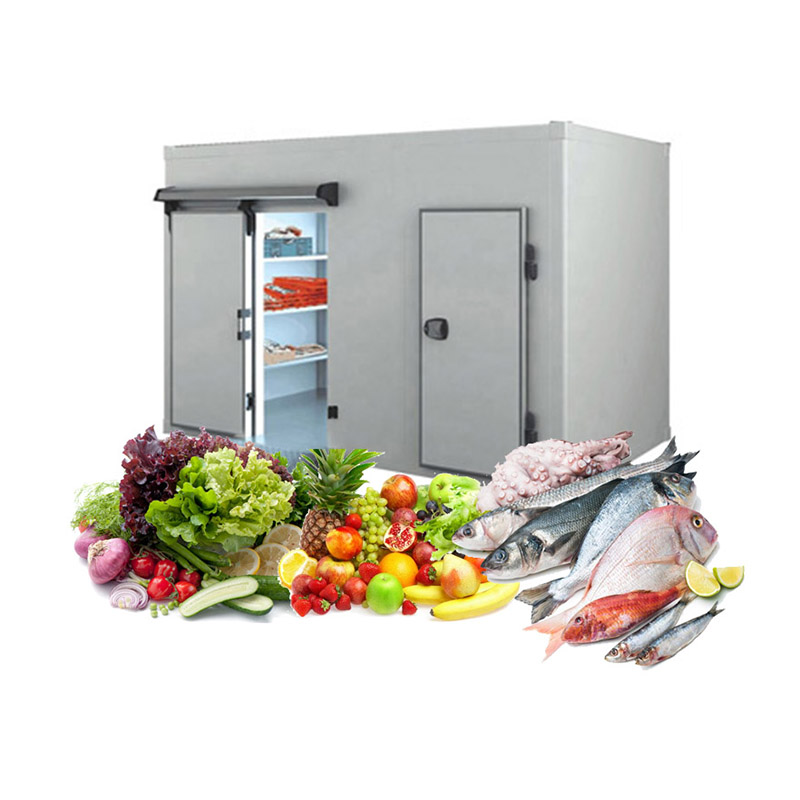 OEM/ODM China China Industrial Fish Freezer Cold Storage Room ...