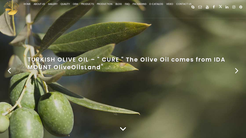 Olive Oil Factory