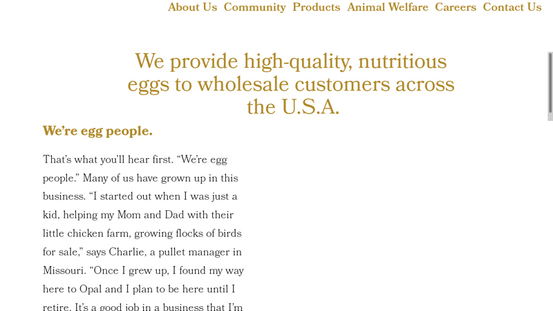 Opal Foods