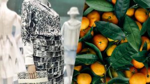 Orange Fiber • Sustainable fabrics from citrus juice by