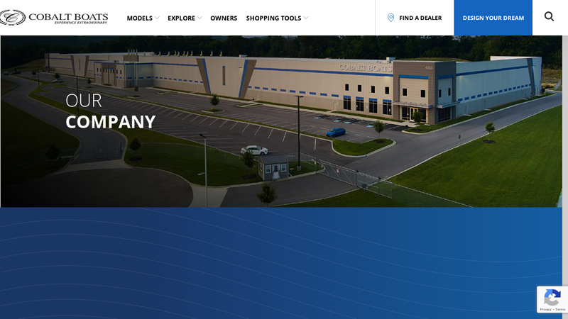 Our Company