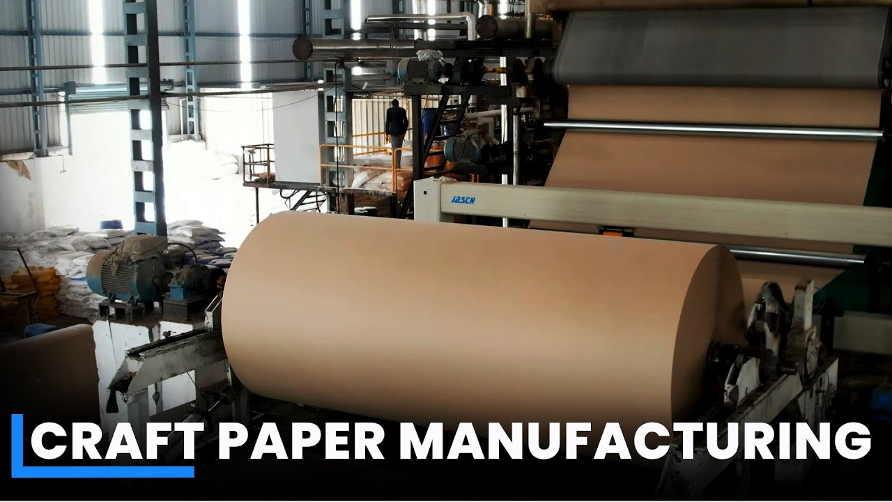 Papel Kraft industry insight