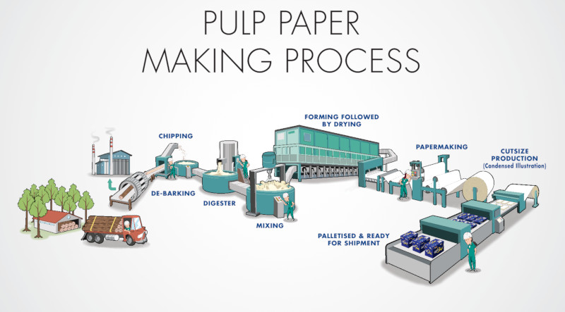 Paper industry insight