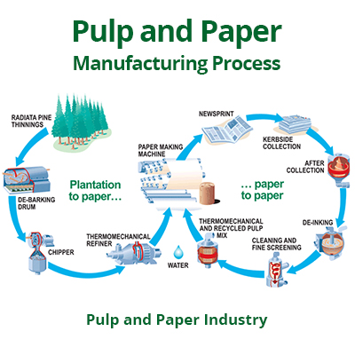 Paper industry insight