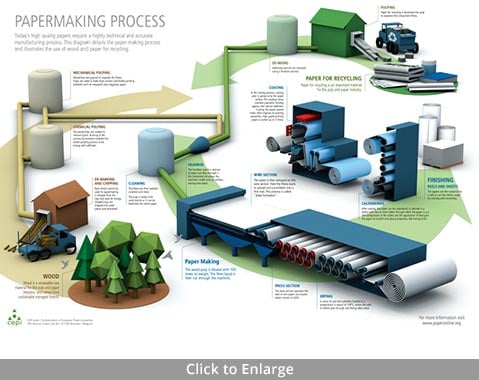 Paper Co industry insight