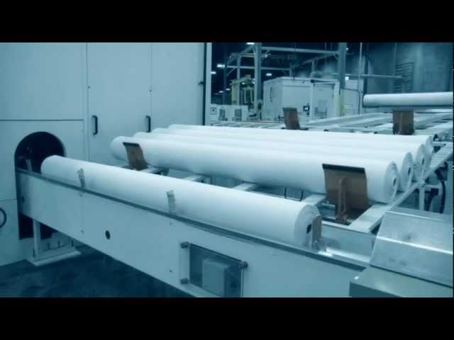 Paper Towel industry insight