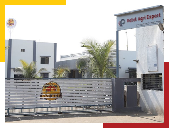 Patel Agri Exports
