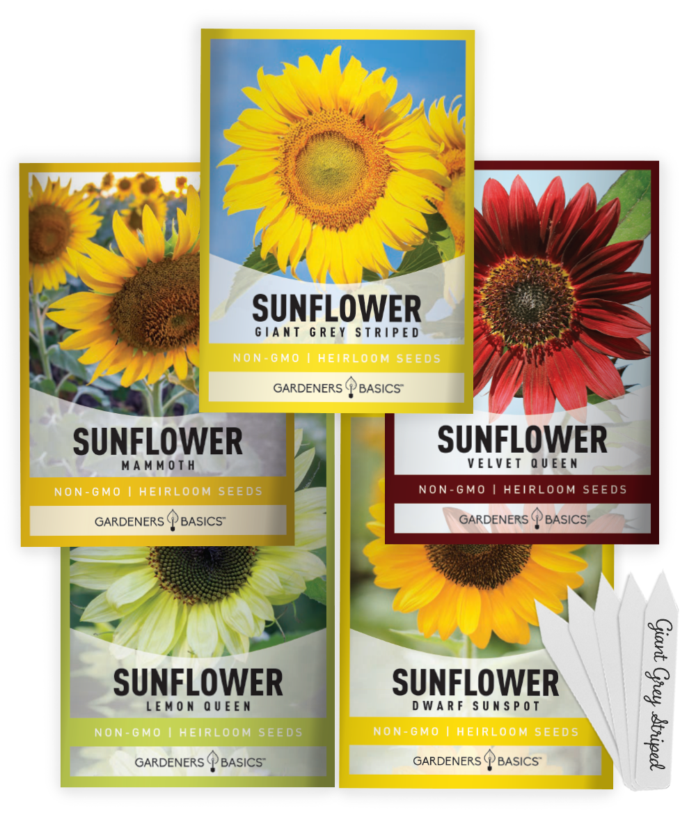 [PDF] 2021 ORGANIC SEED CATALOG