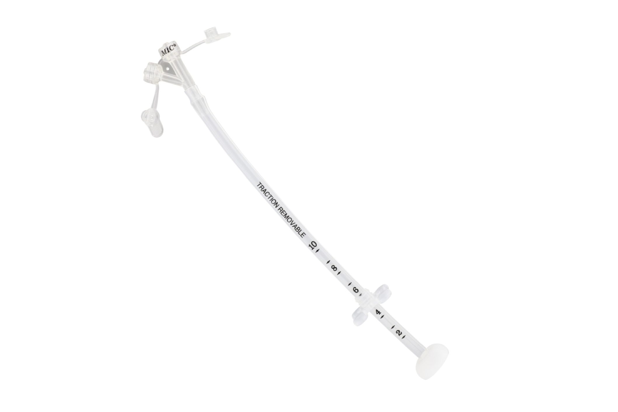 Percutaneous Endoscopic Gastrostomy (PEG) Tubes