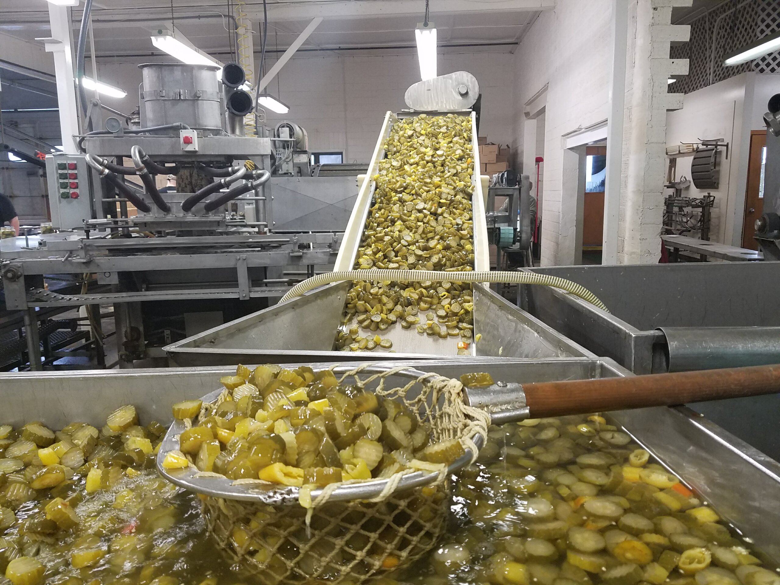 Pickle industry insight