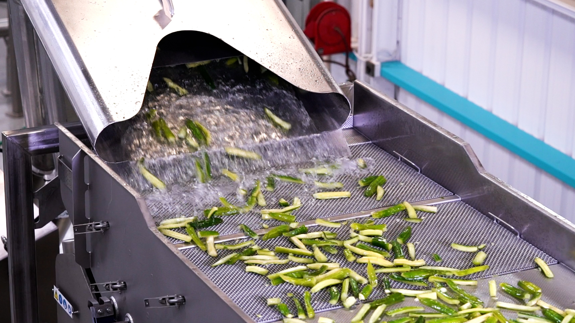 Pickle industry insight