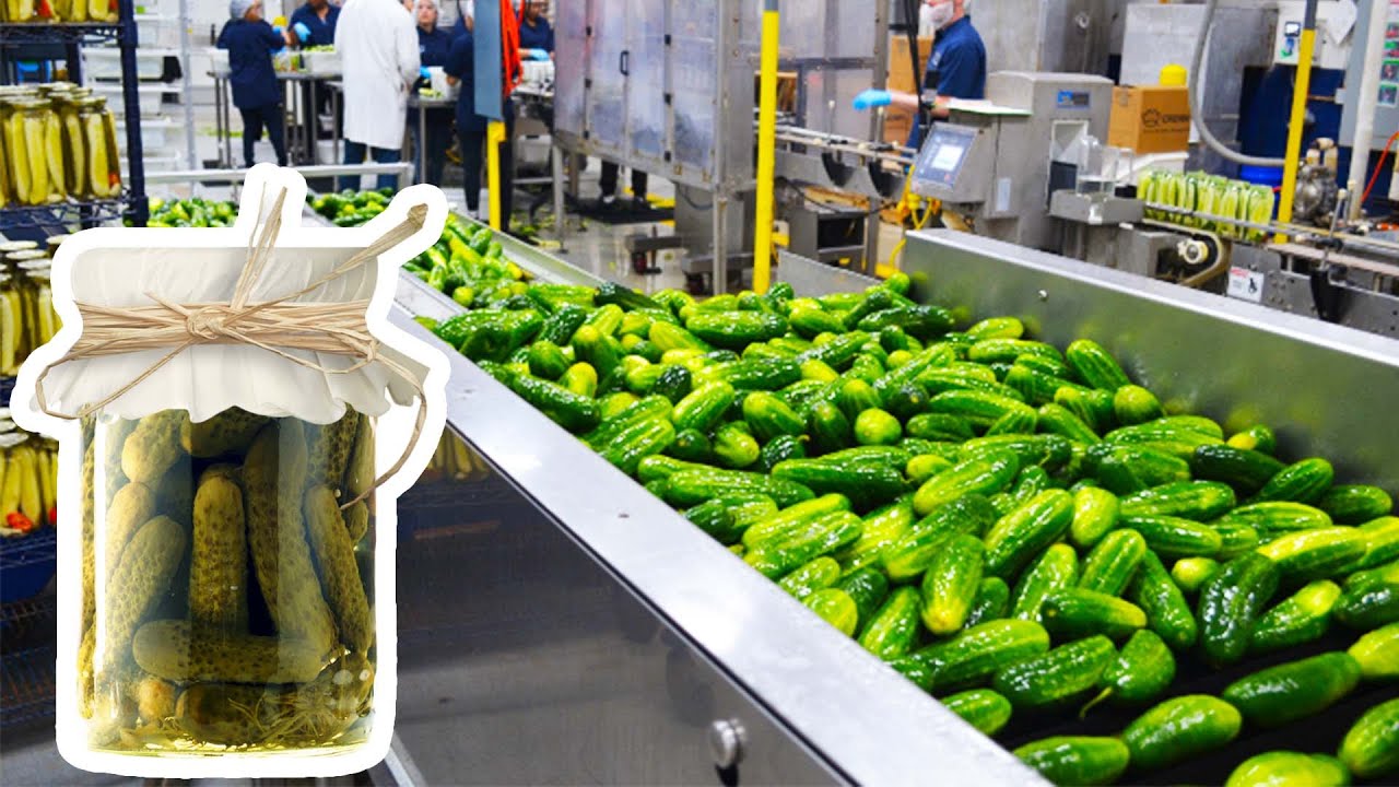 Pickle industry insight